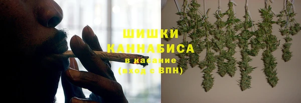шишки Баксан