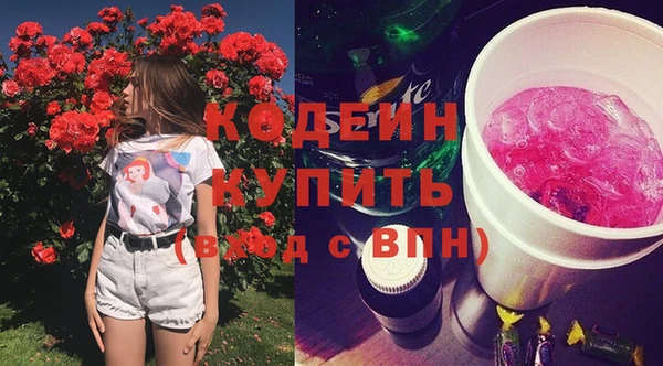 шишки Баксан